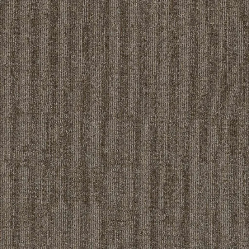 Shaw Floors - 5th & Main Carpet - Knock Out Collection - Rally